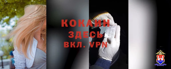дживик Бронницы