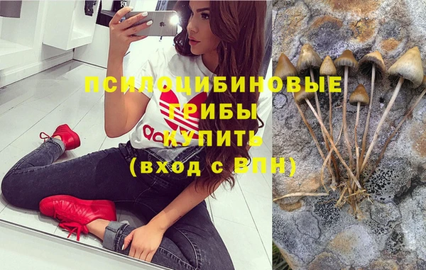 дживик Бронницы