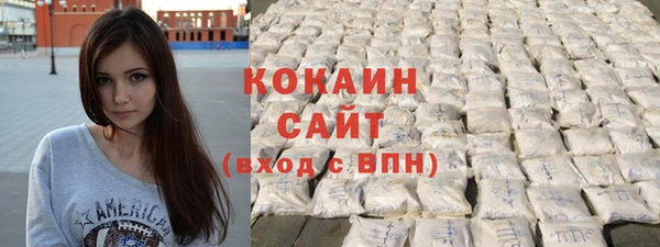 дживик Бронницы
